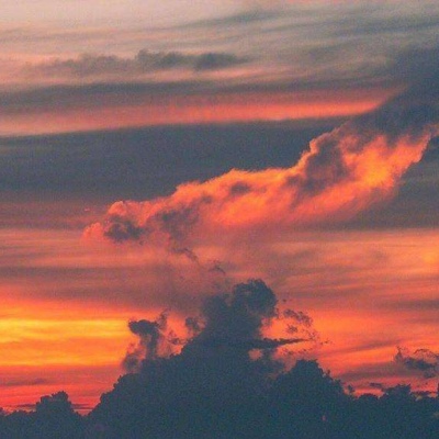 dawn_zyl
